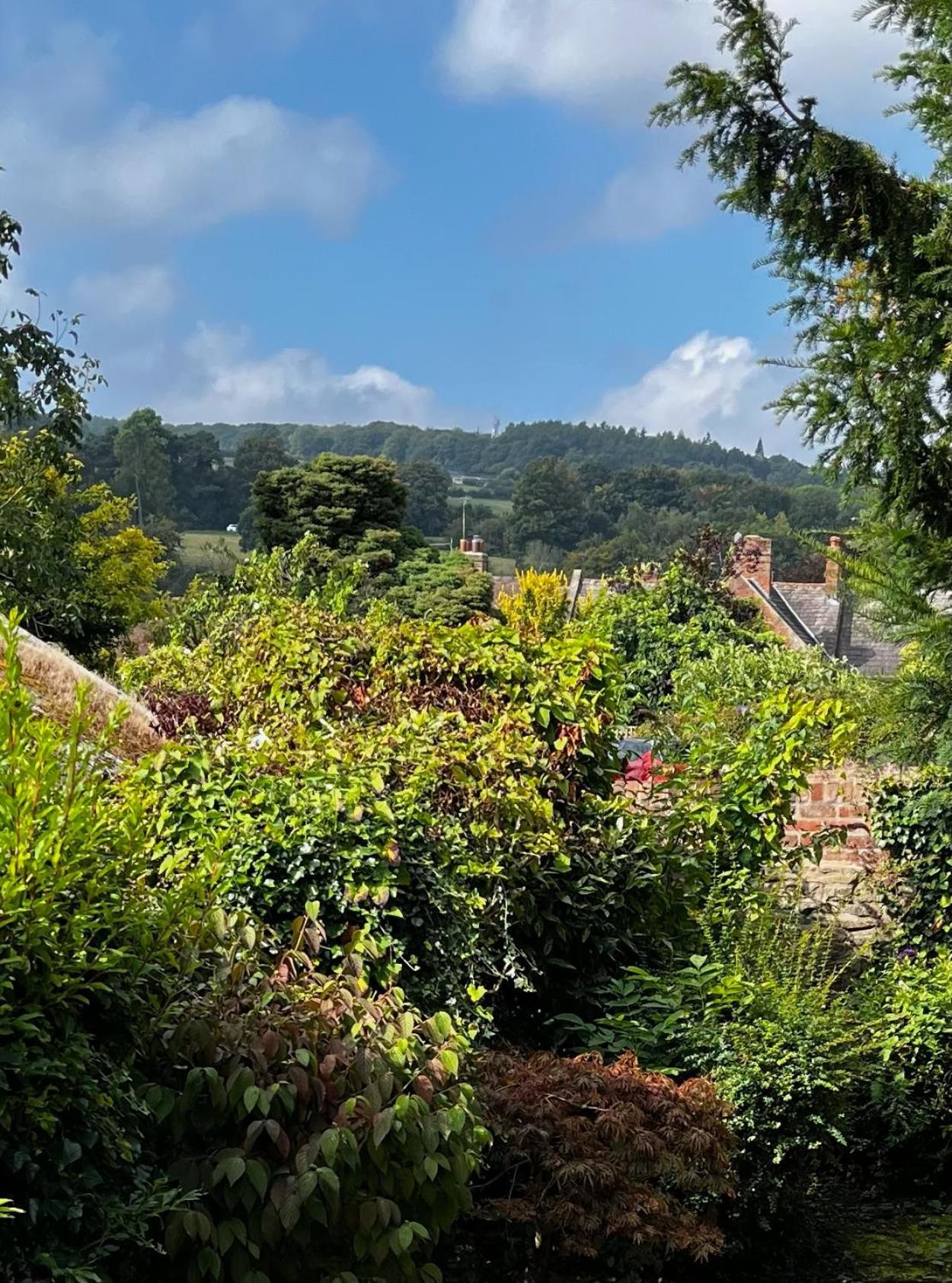 Bell Cottage By Ludlow Castle With Onsite Parking Extérieur photo